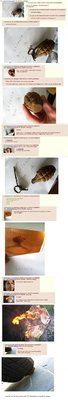i-found-a-grenade-thread.jpg