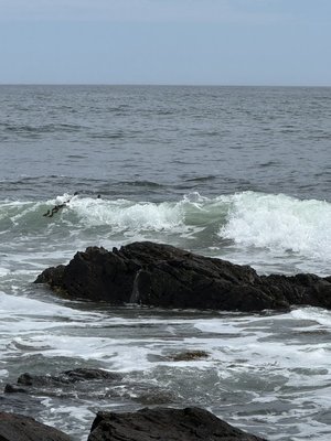 IMG_7973.jpeg