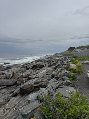 IMG_7974.jpeg