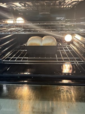 IMG_8186.jpeg
